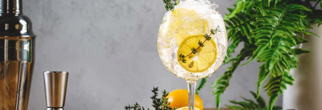 ¿Qué tipos de gin tonic se pueden elaborar?
